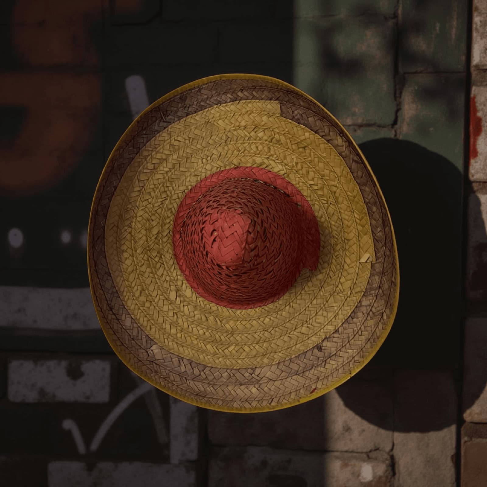 Mexican hat wall art